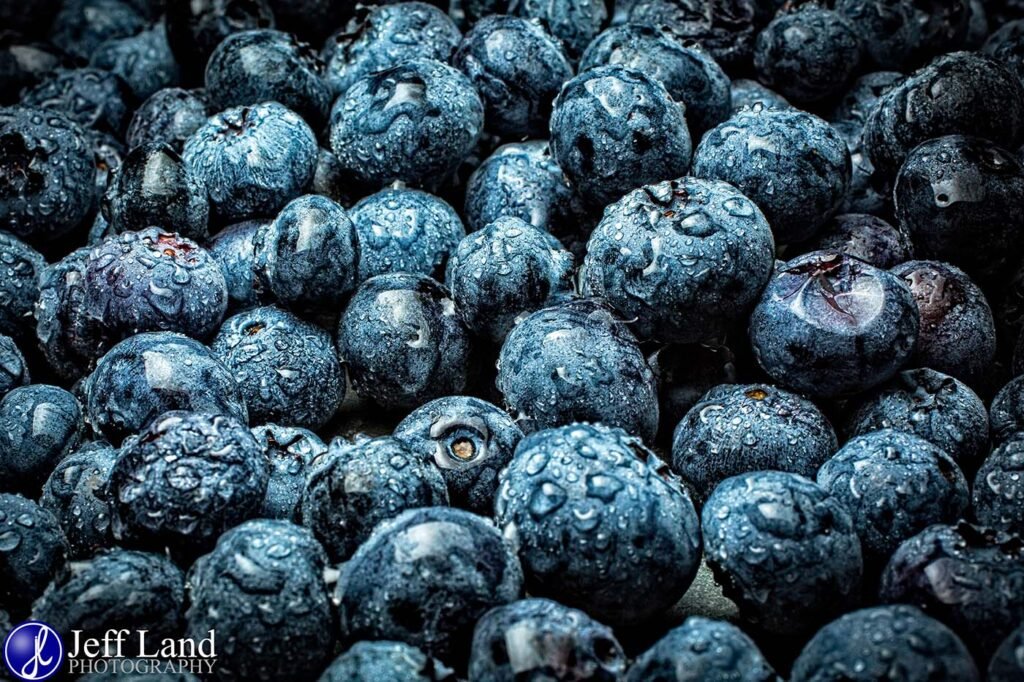 Blueberry Macro Photography Stratford upon Avon, Warwickshire
